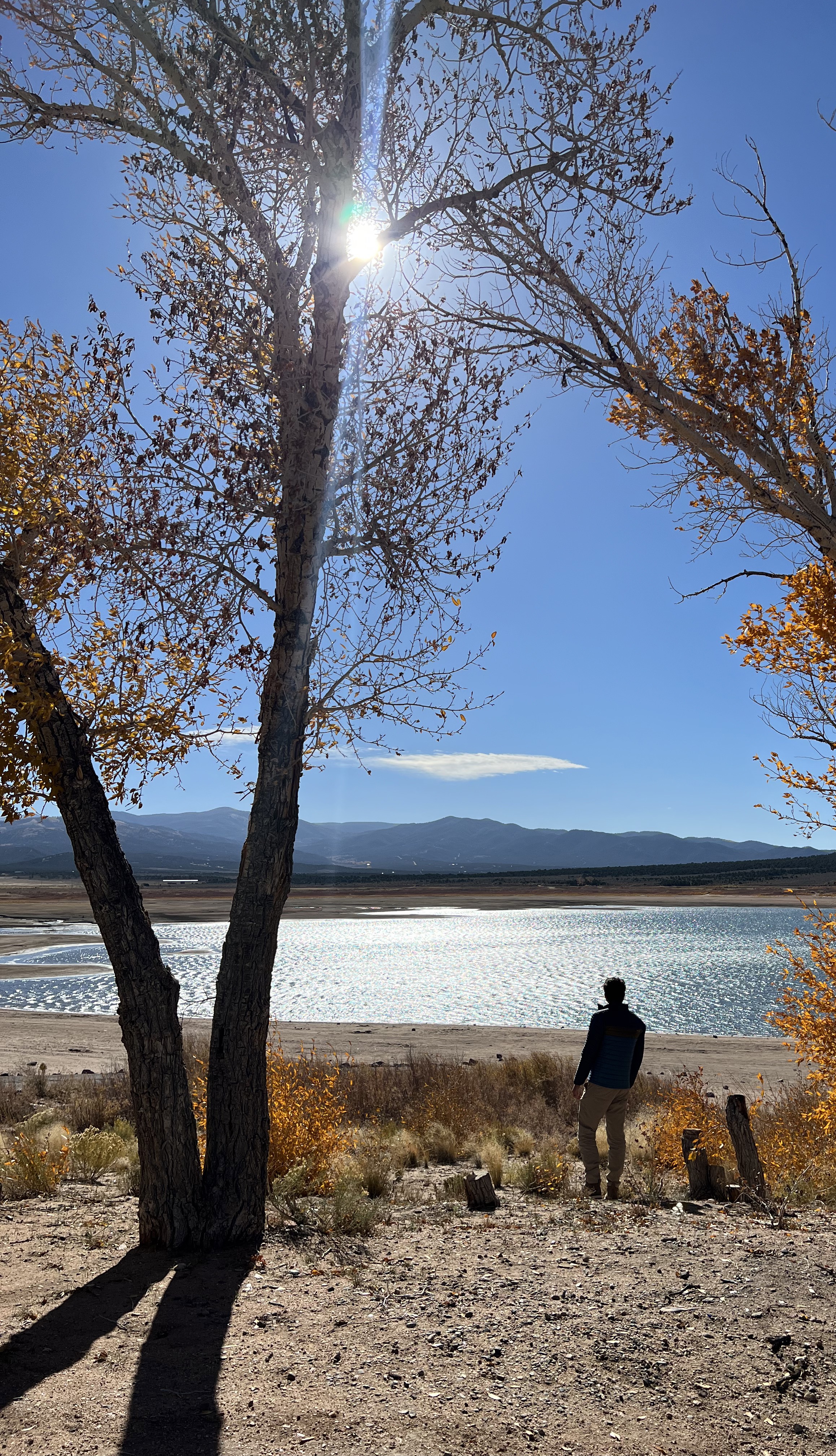 An Angler's Guide to the Best Fishing Near Alamosa