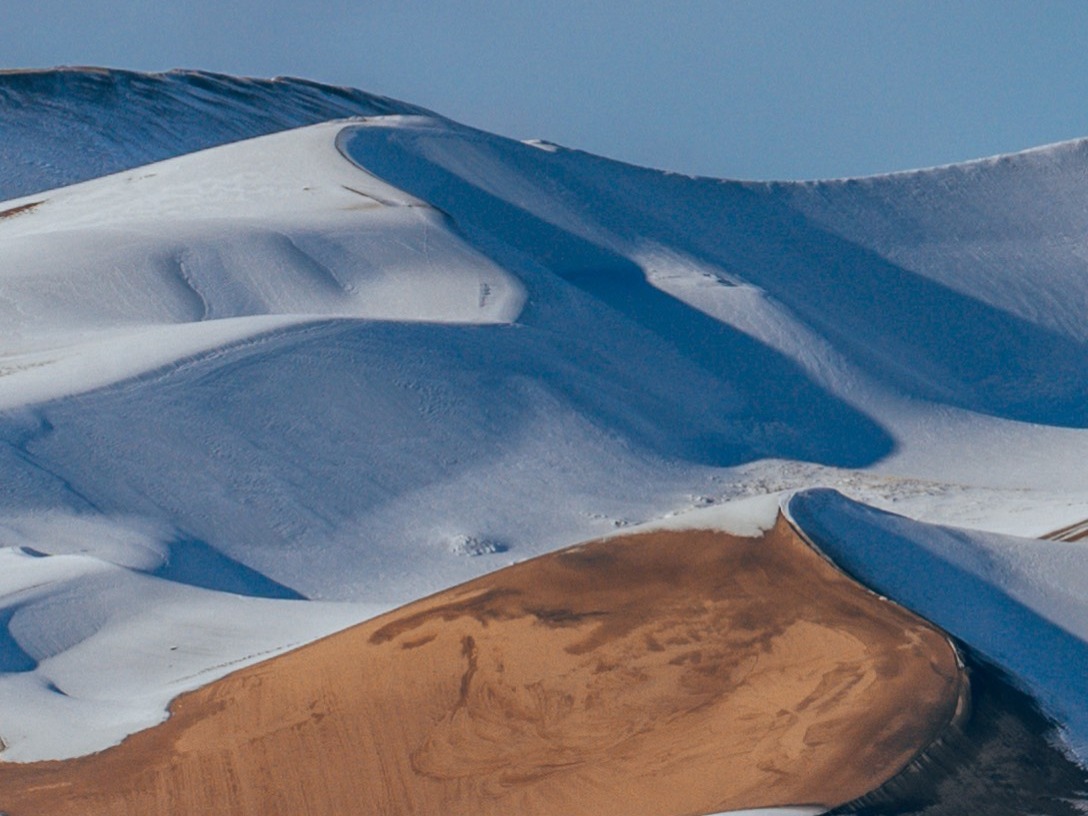 Alamosa National Wildlife Refuge